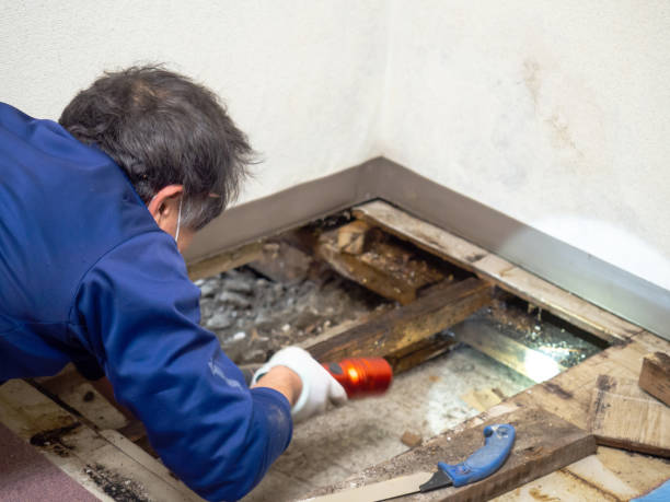 Best Residential Mold Removal  in Carnot Moon, PA