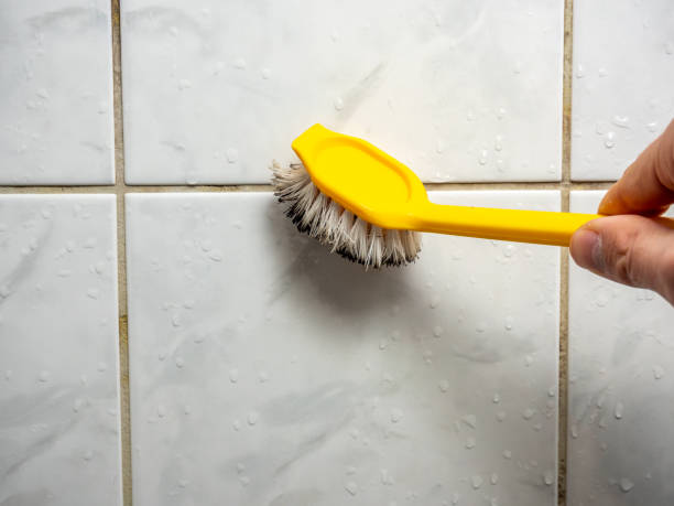 Best Emergency Mold Removal  in Carnot Moon, PA