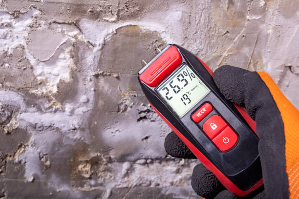 Best Office Mold Removal Services  in Carnot Moon, PA