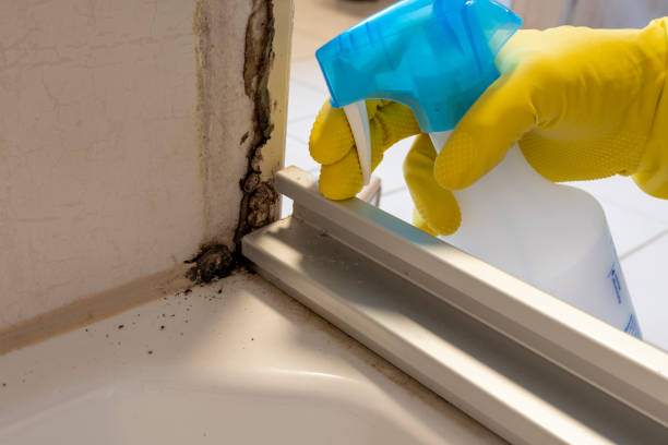 Best Local Mold Removal Service  in Carnot Moon, PA