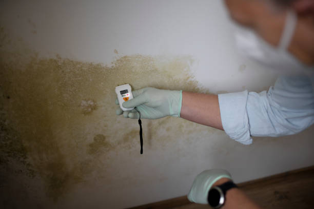 Best Fast Mold Removal  in Carnot Moon, PA
