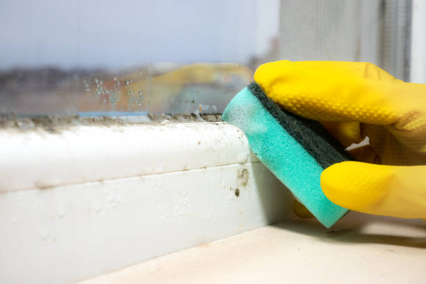 Best Residential Mold Removal  in Carnot Moon, PA