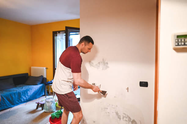 Best Same-Day Mold Removal  in Carnot Moon, PA